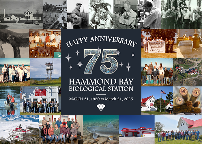 A collage of 24 photos and a large graphic stating 'Happy Anniversary, Hammond Bay Biological Station, March 21, 1950 to March 21, 2025' with a large '75' toward the middle. The graphic has multiple diamonds indicating the diamond anniversary. The collage photos include black and white photos of Hammond Bay Biological Station and staff from the 1950s and 1960s as well as color photos of the station and staff from the 1970s to current day. There are also pictures of sea lampreys attached to fish, the mouths of a group of sea lampreys, and a lake trout.